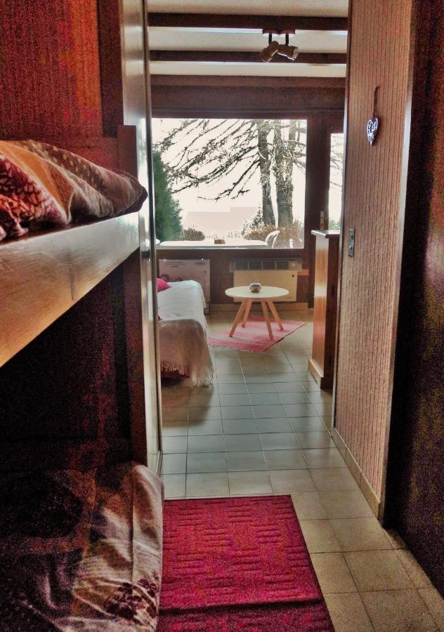 Studio Renove Jardin Et Vue - 4 Nuits Minimum Saint-Michel-de-Chaillol Exteriör bild